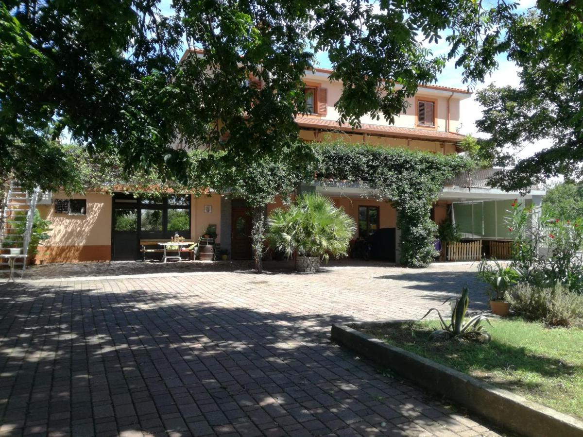 Guesthouse Skofije Ob Parenzani Spodnje Skofije 외부 사진
